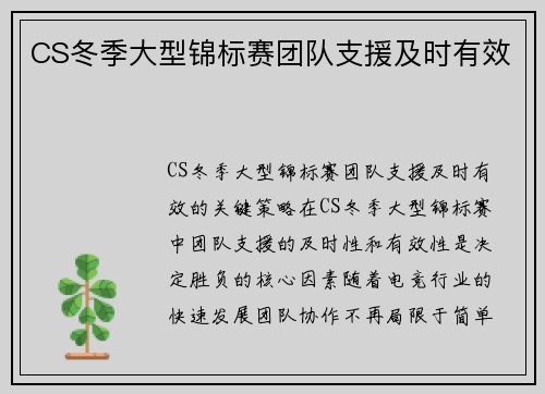 CS冬季大型锦标赛团队支援及时有效